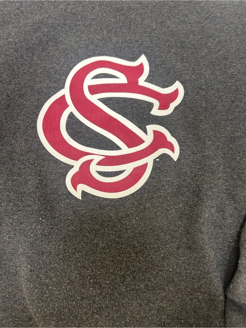 South Carolina gamecocks medium champion sweatshirt